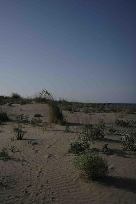 קמפומרינו Casa Vacanze מראה חיצוני תמונה